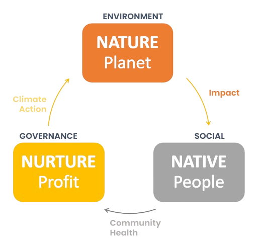 Circular Process 2